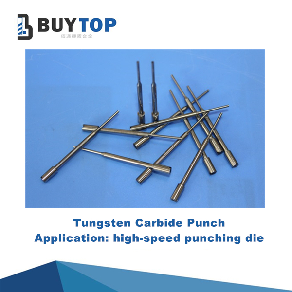 Carbide needle & punch (5)