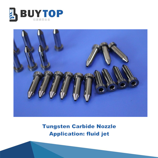 Carbide nozzle (4)